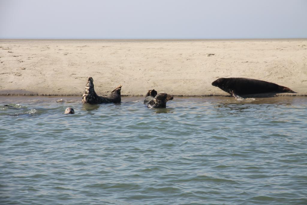 Camping De Brem Renesse Luaran gambar